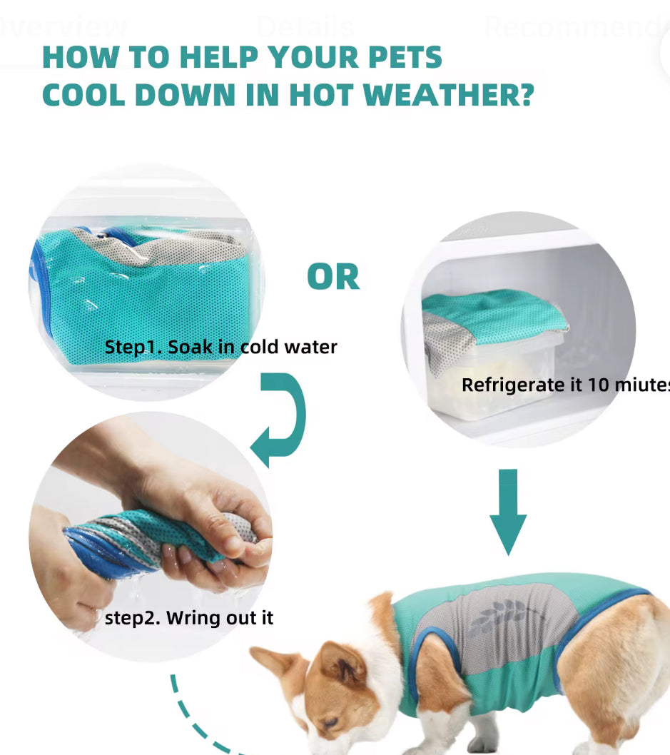 Frenchie Cooling vest