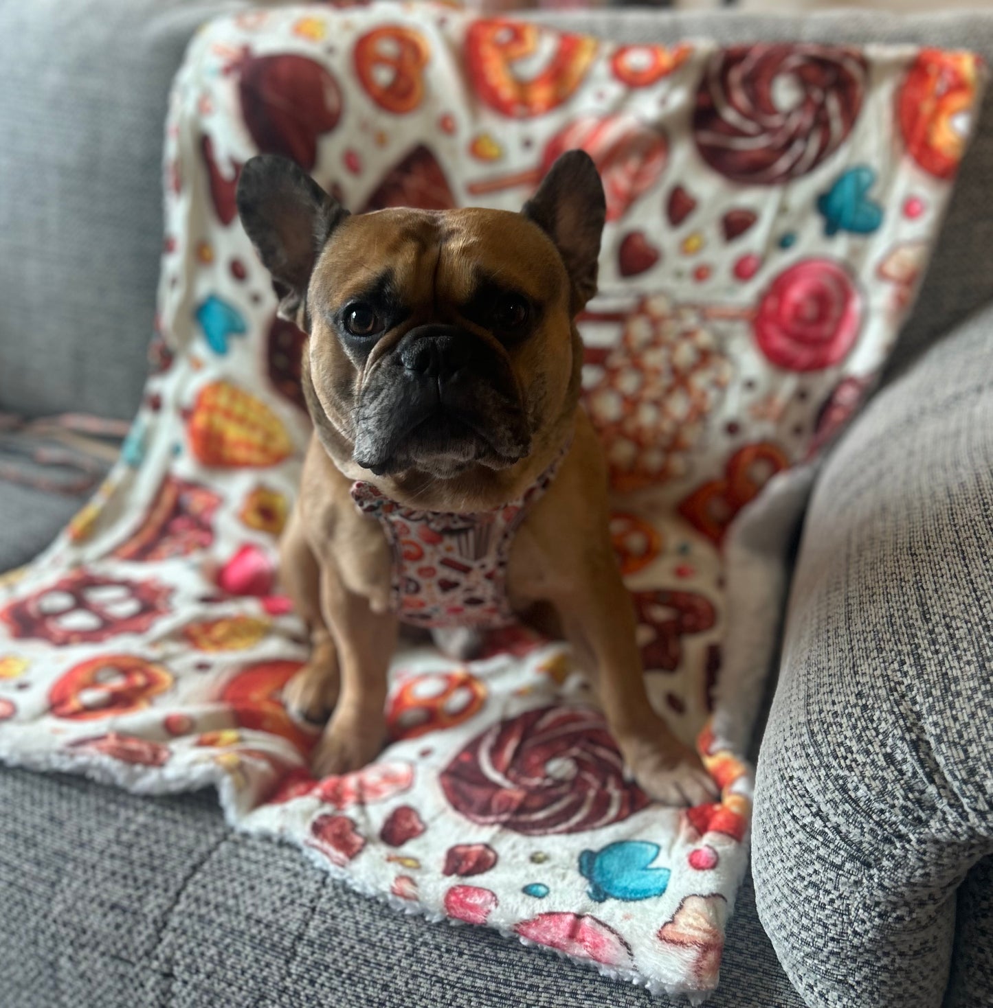 Sweet shop fleece blanket