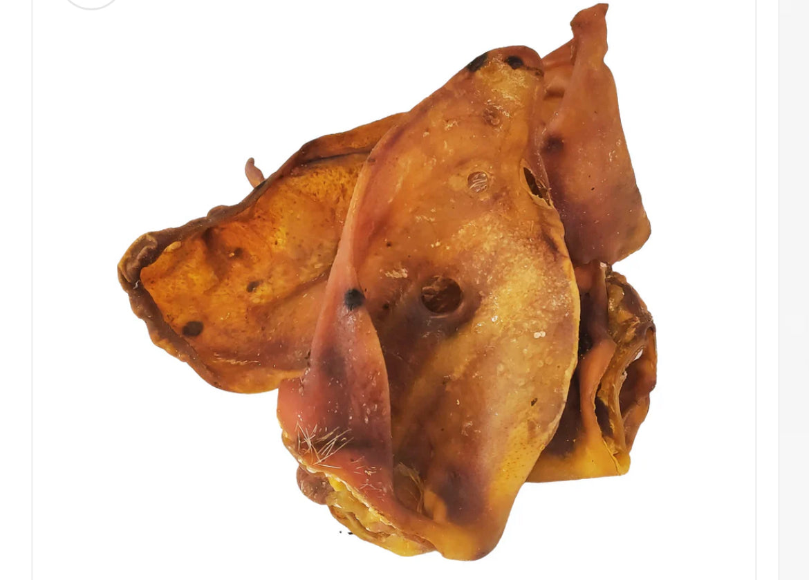 Pig ear