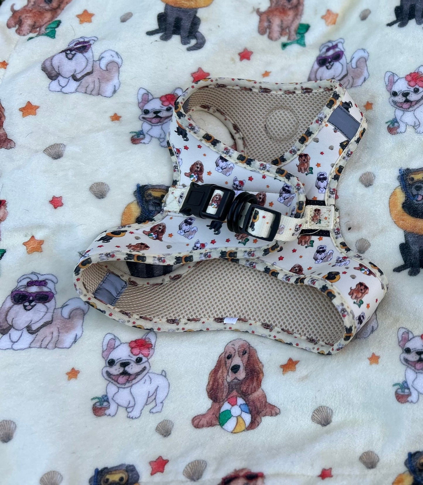 Life’s a beach step in harness