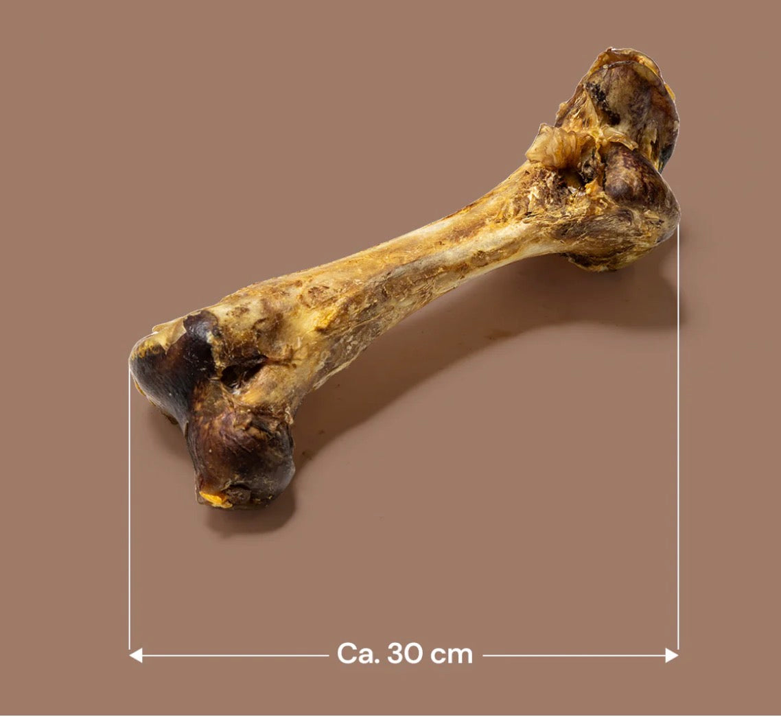 Jumbo Ostrich bone