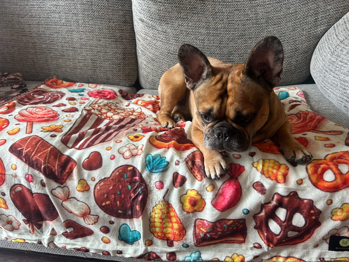Sweet shop fleece blanket
