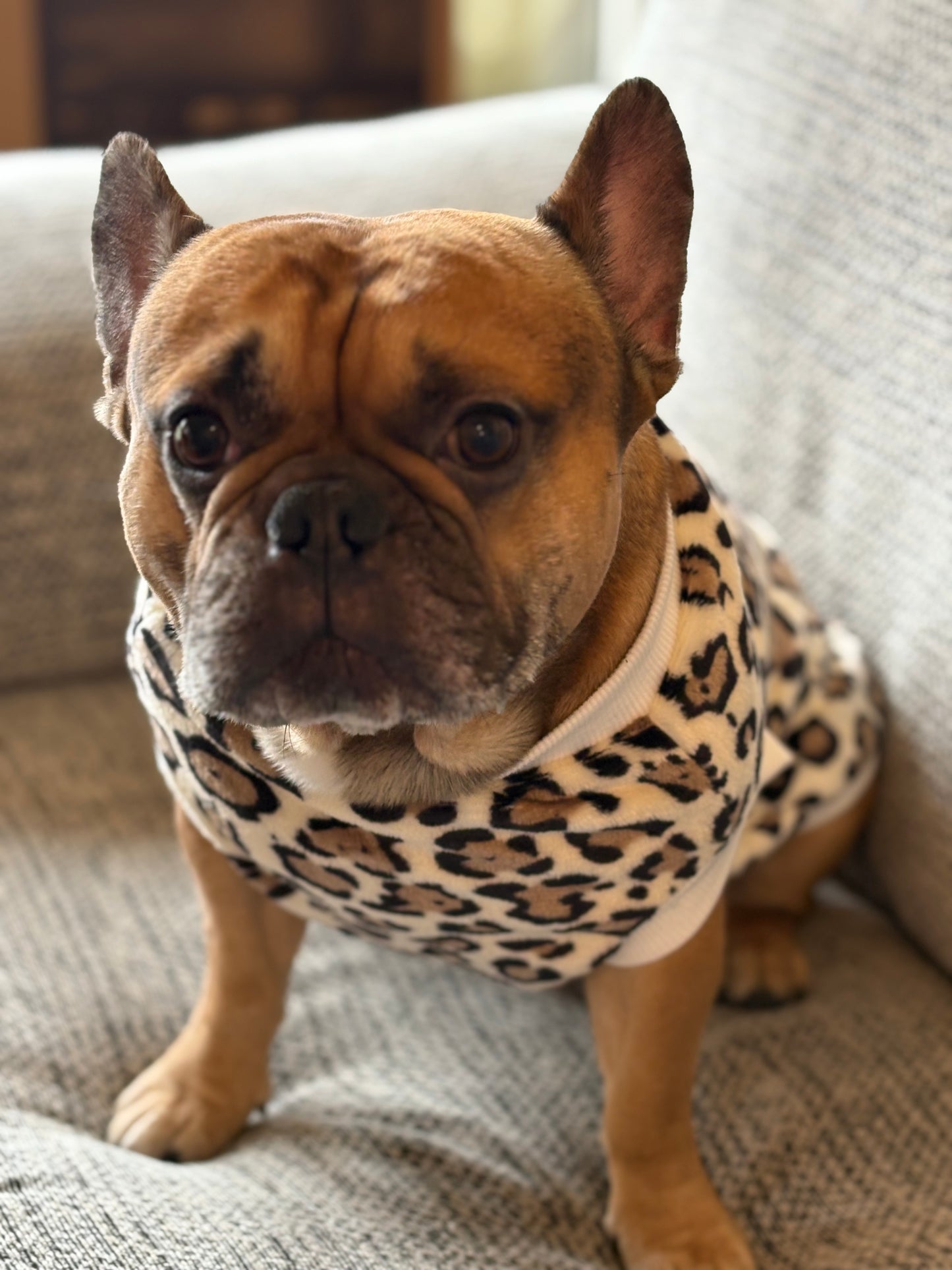 Animal print jumper