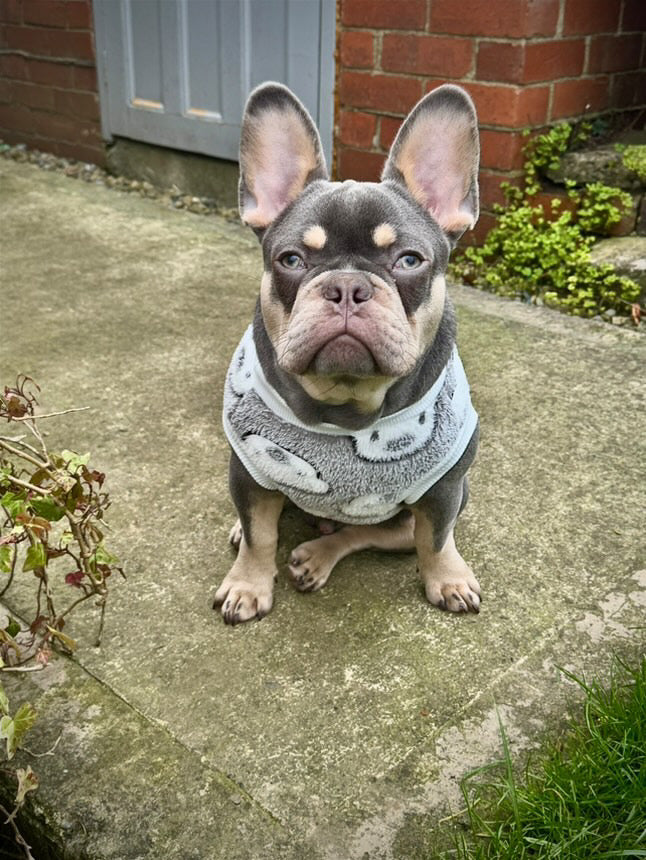 Grey Teddy fleece jumper