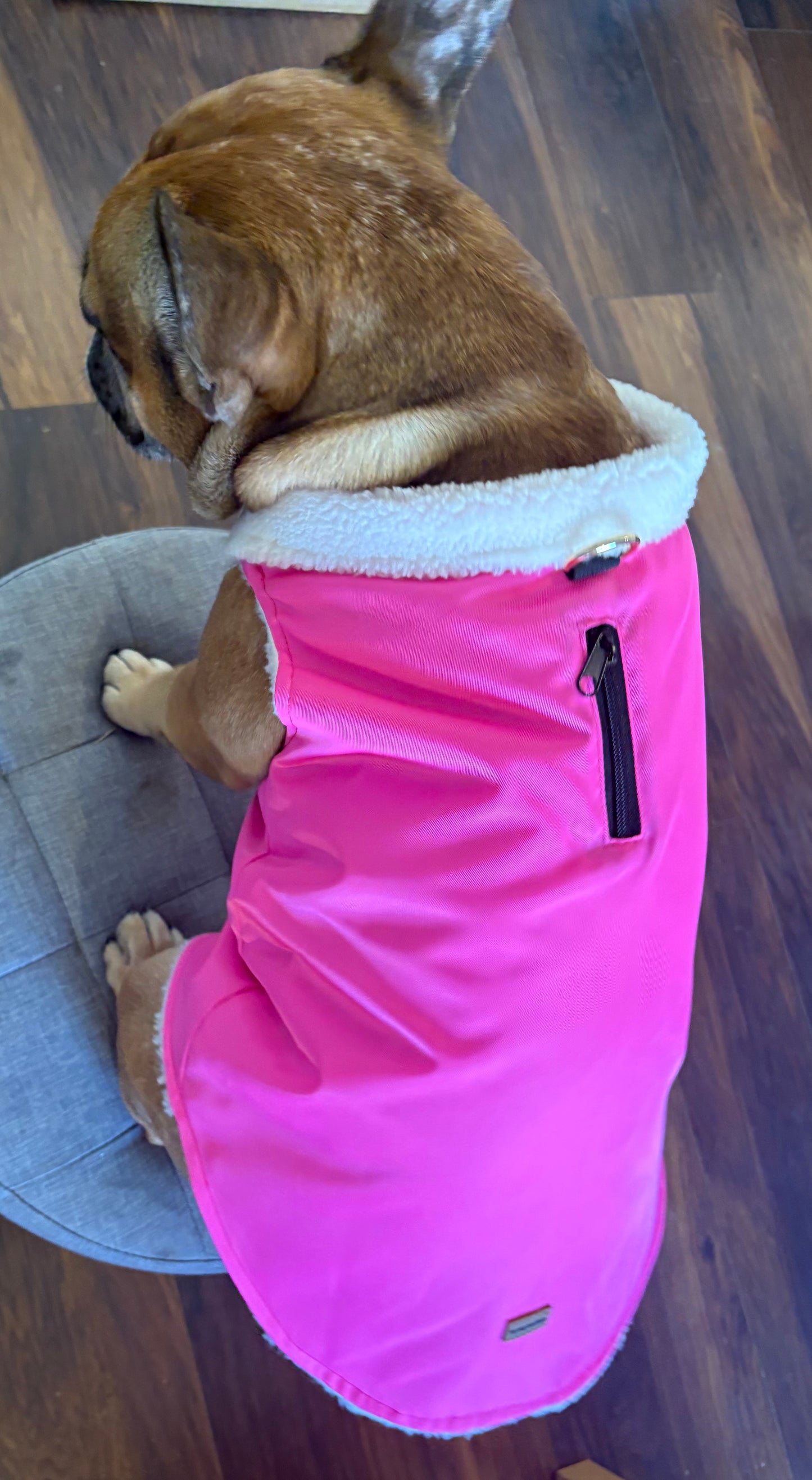 Pink Dog coat