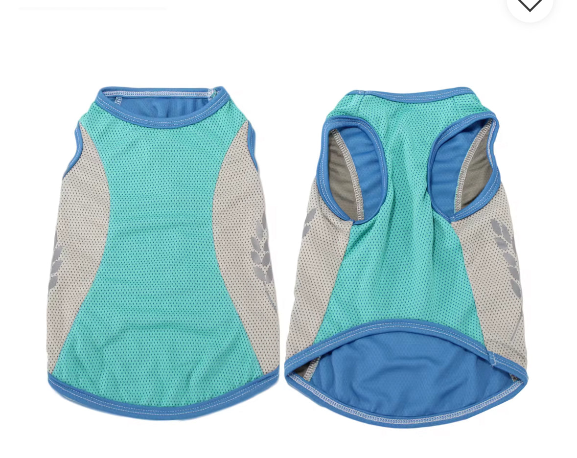 Cooling vest