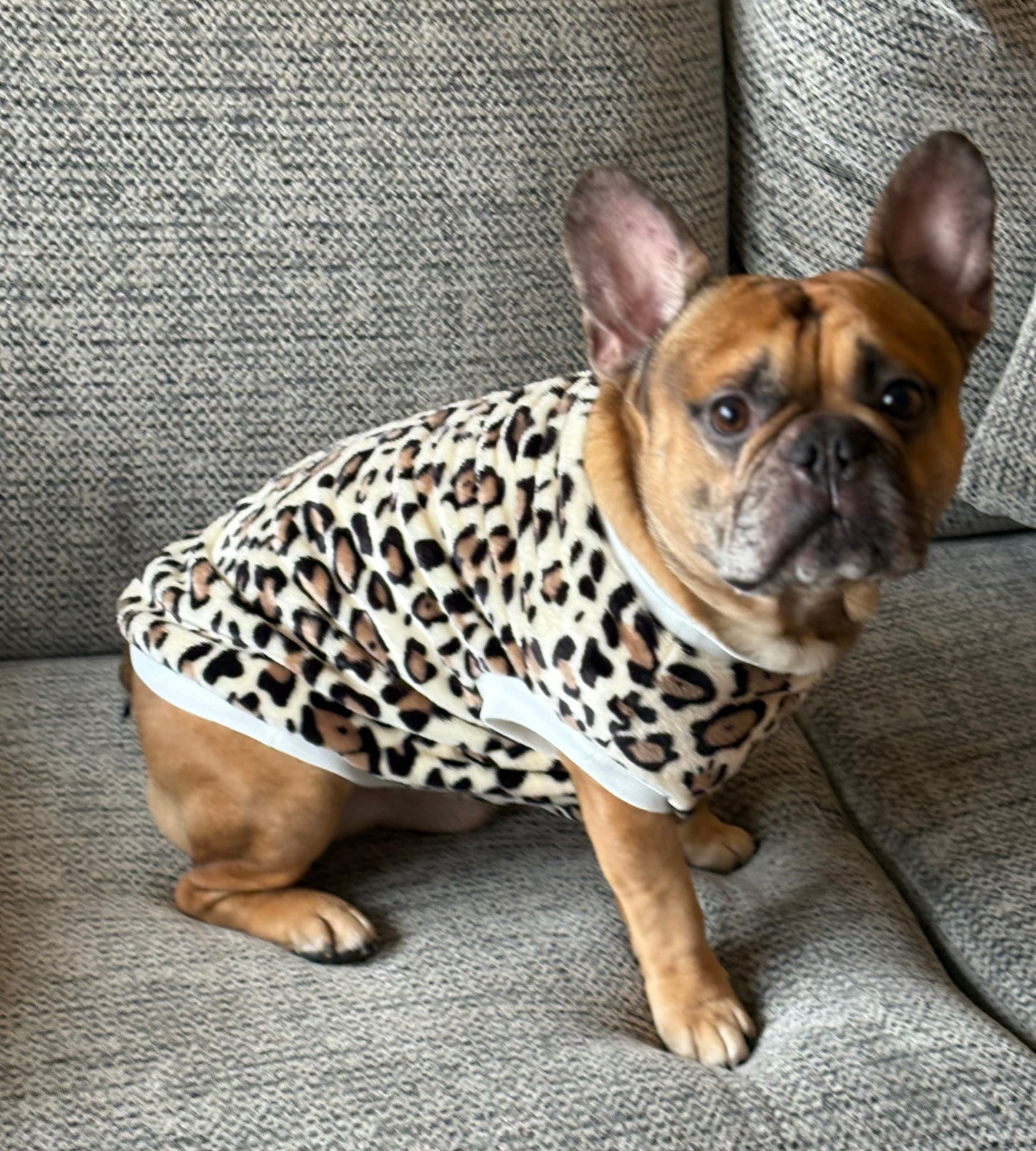 Animal print jumper