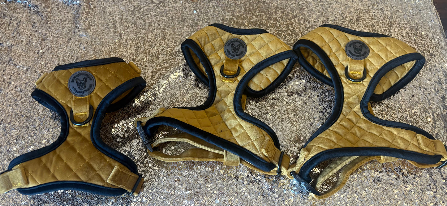 BB signature collection gold with black trim quilted velvet harness