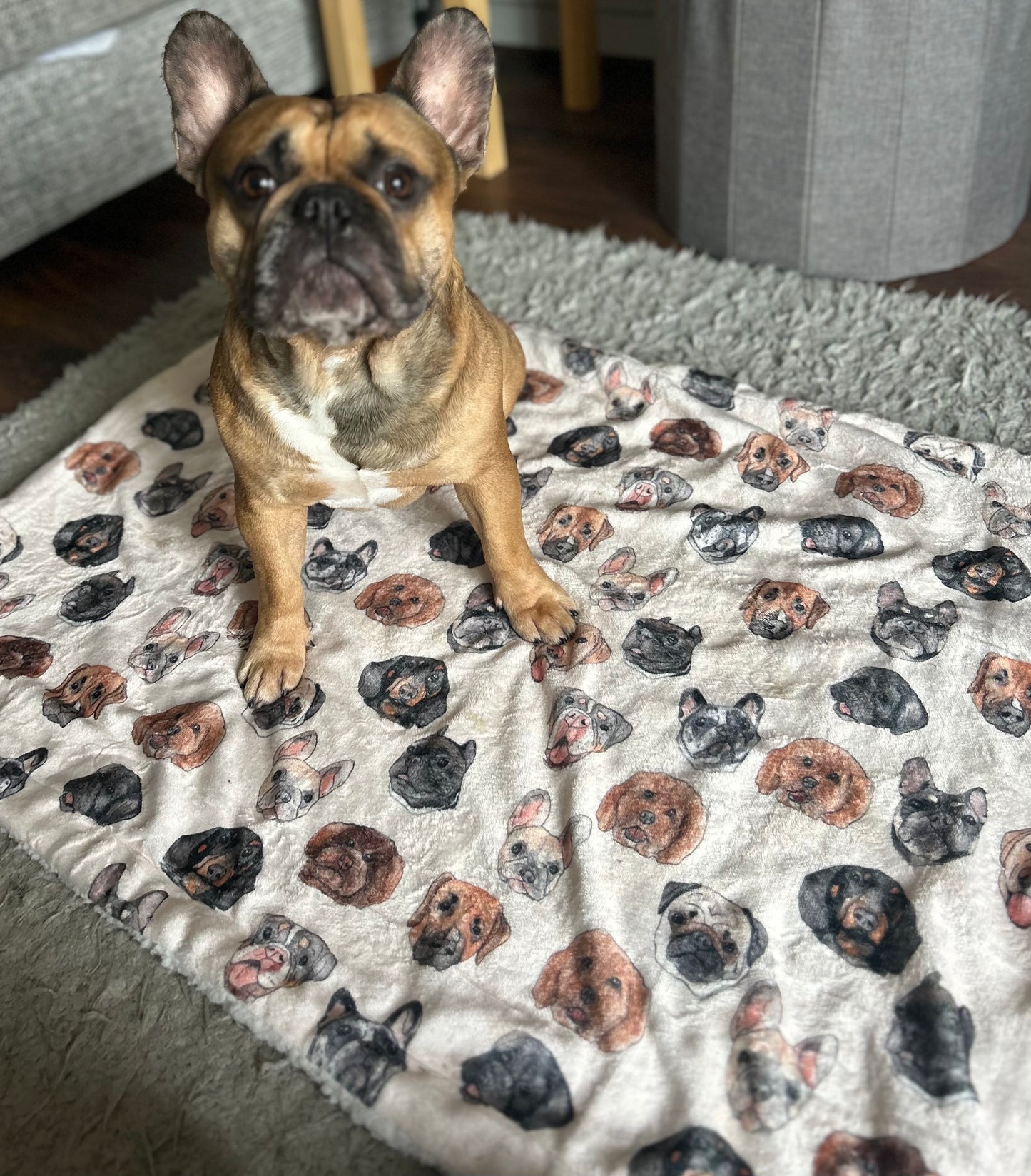 Dog faces blanket