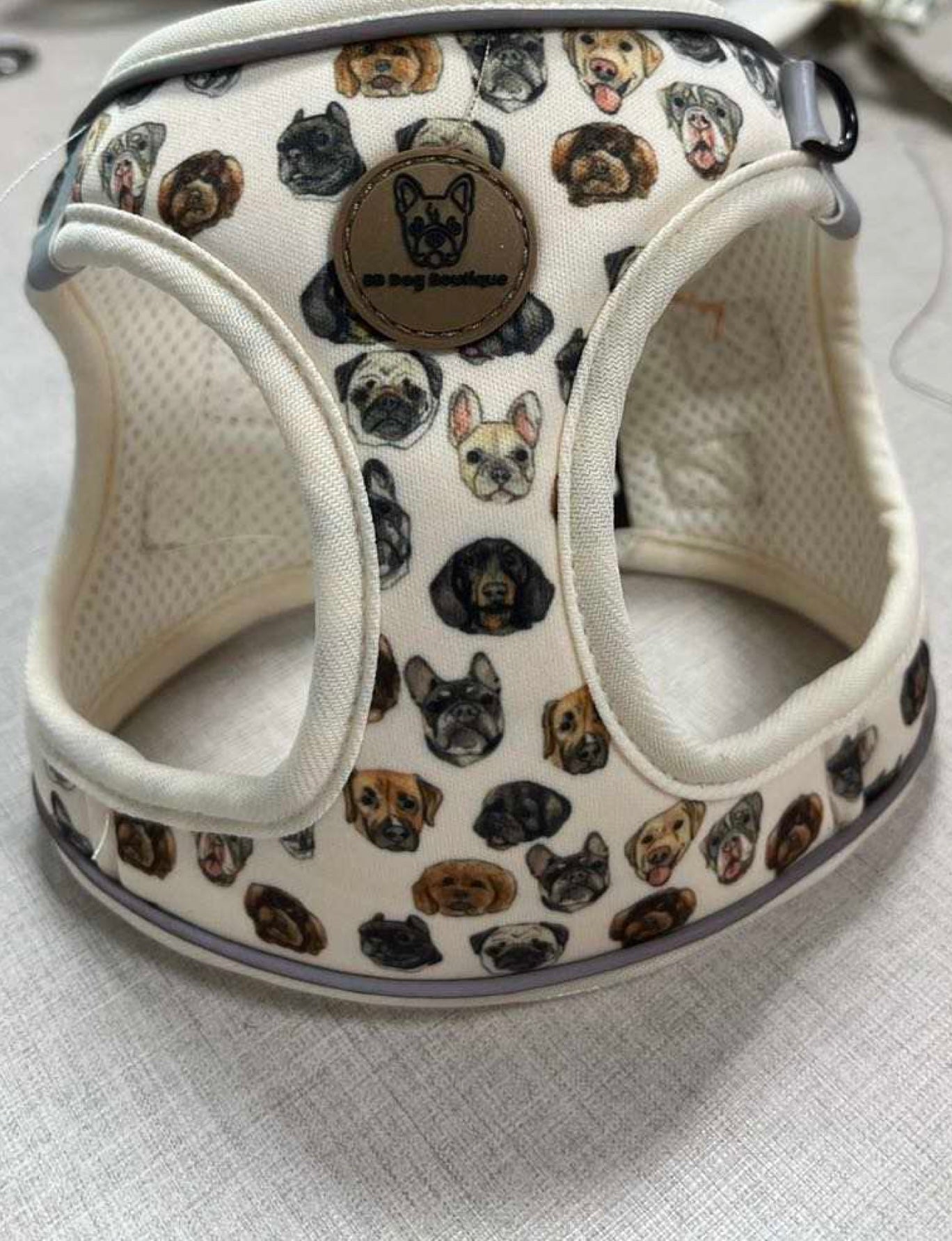 Dog face step in harness