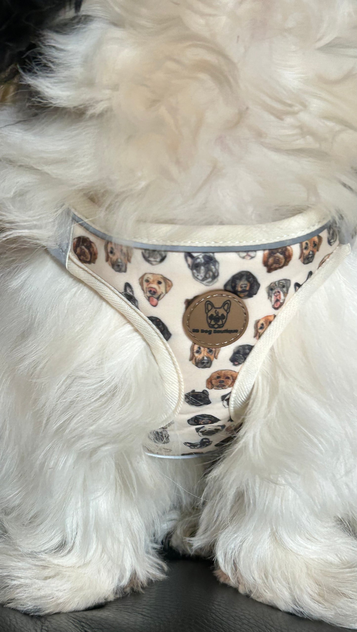 Dog face step in harness