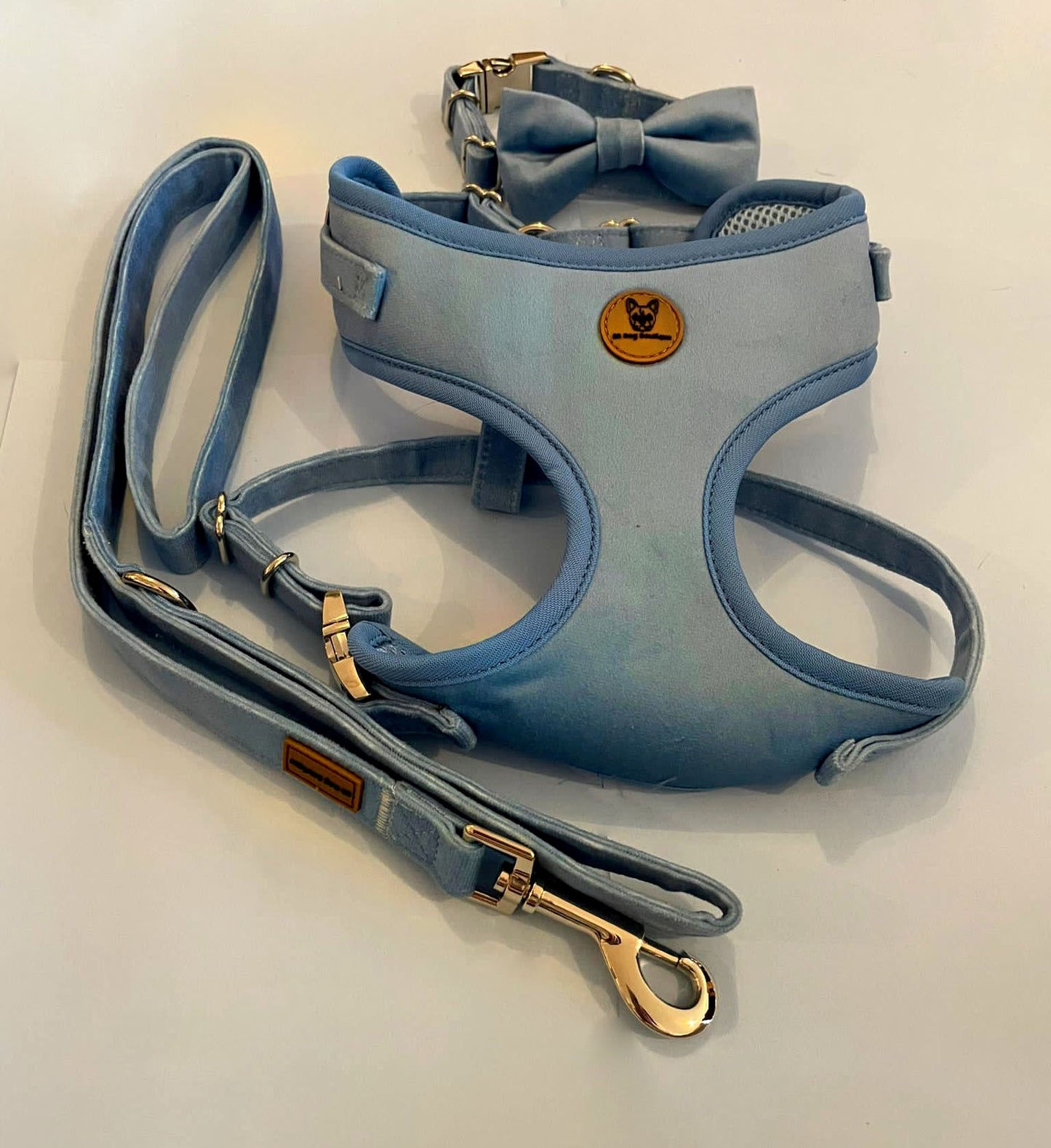 Blue velvet harness