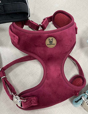 Burgundy velvet harness