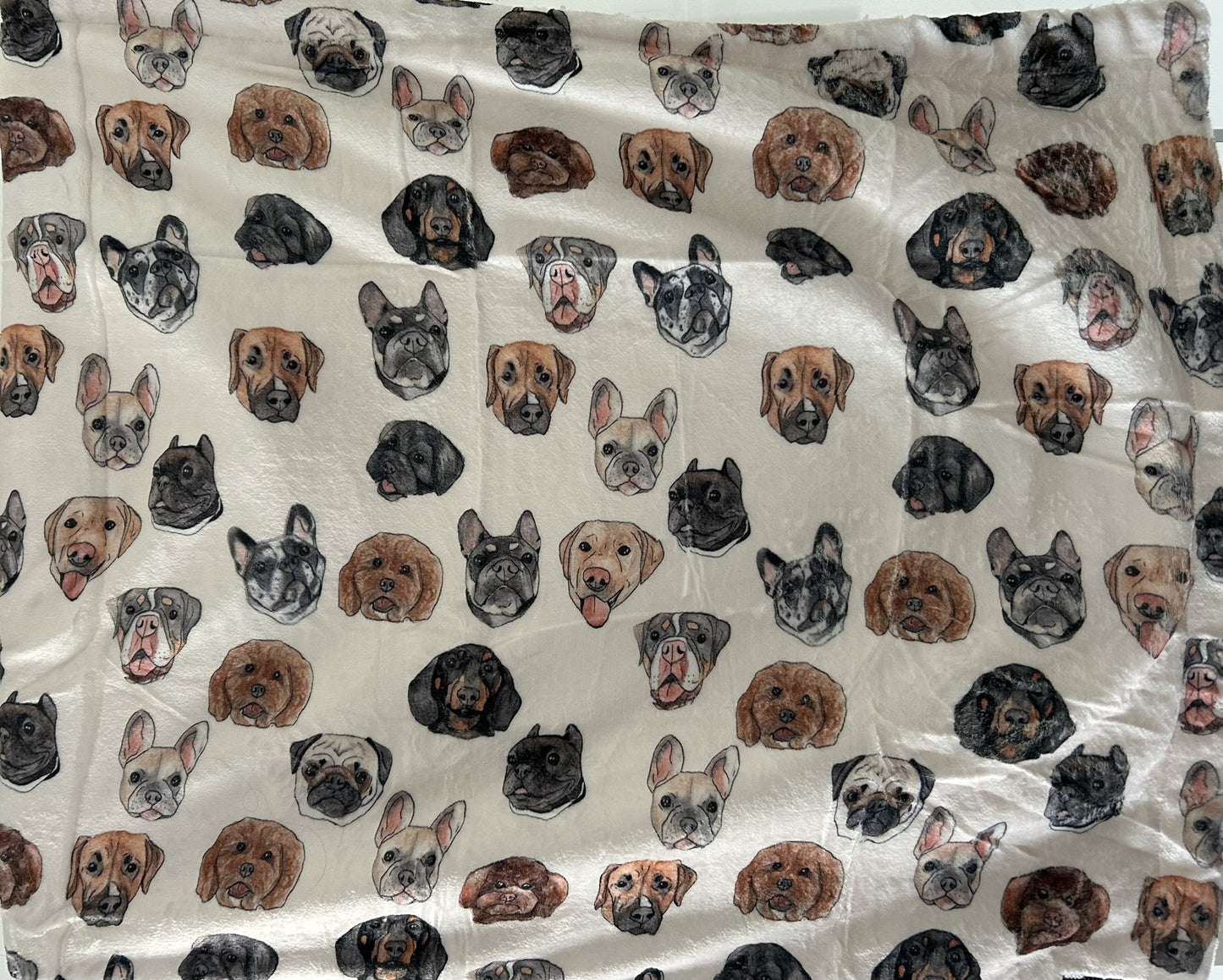 Dog faces blanket