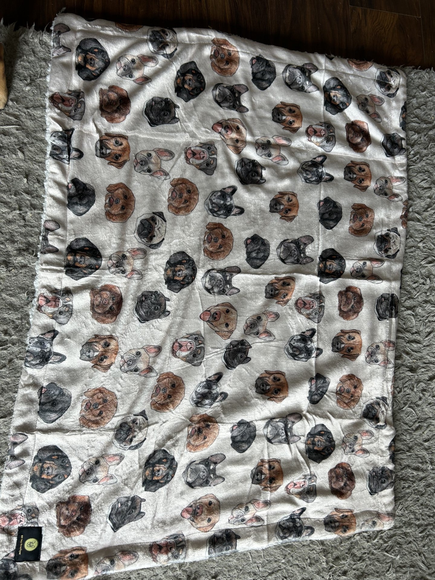 Dog faces blanket