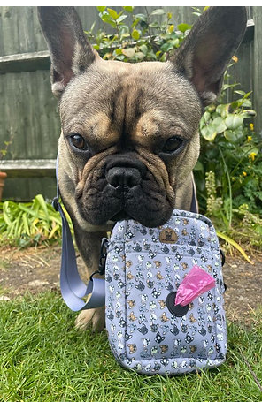 Frenchie dog walking bag