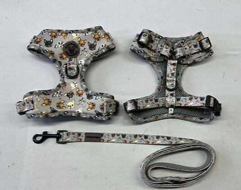 Frenchie harness