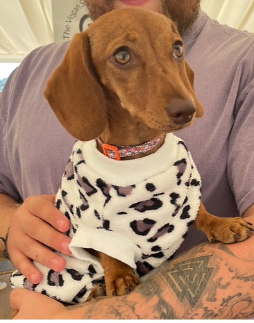 Cheetah jumper sales