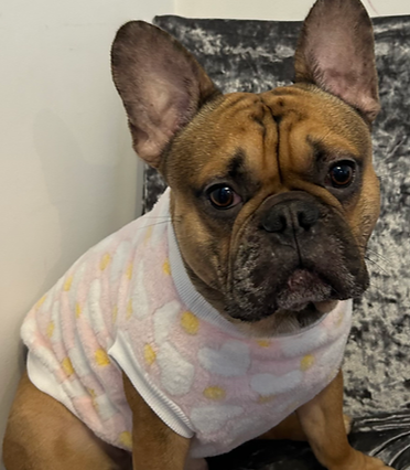 Pink pattern jumper