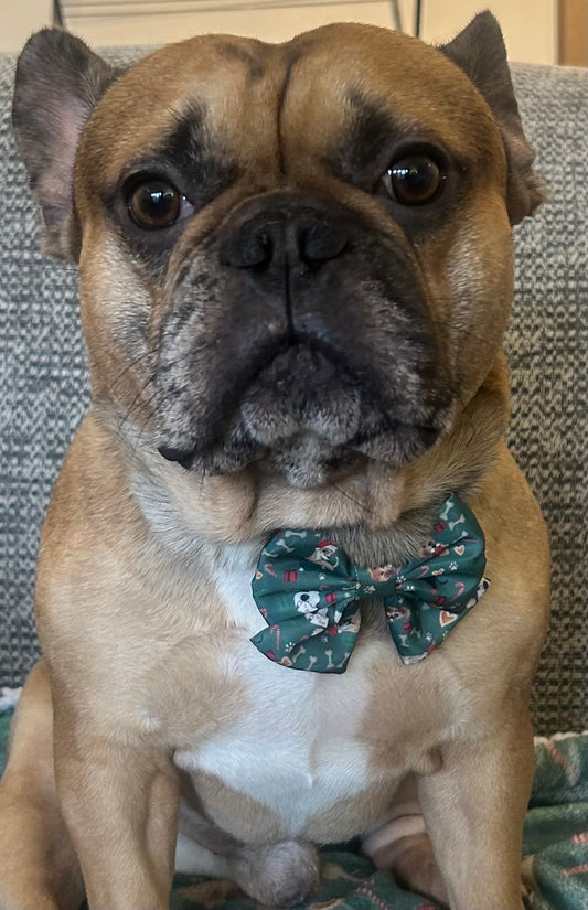Christmas collar with bow