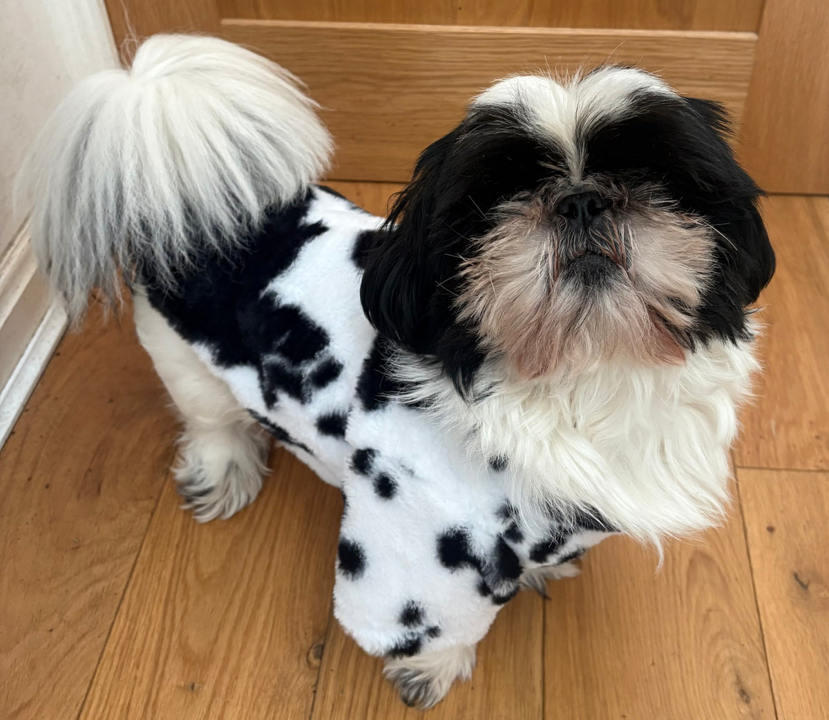 Black and white  Fleece jacket