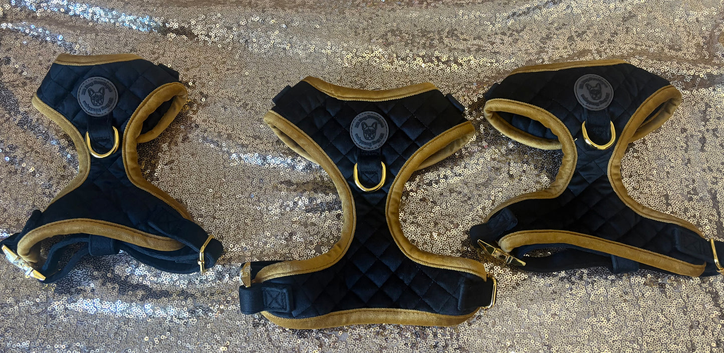 BB signature collection black with gold trim quilted velvet harness