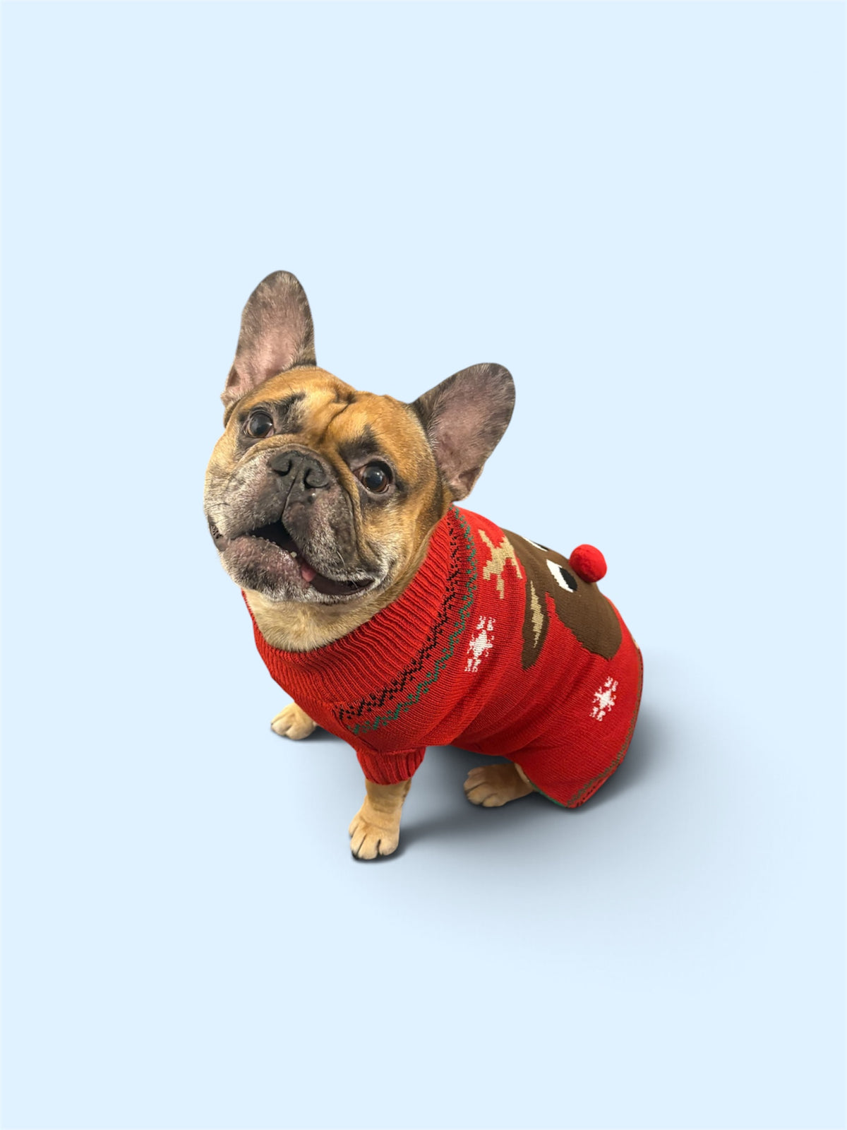 Xmas reindeer jumper