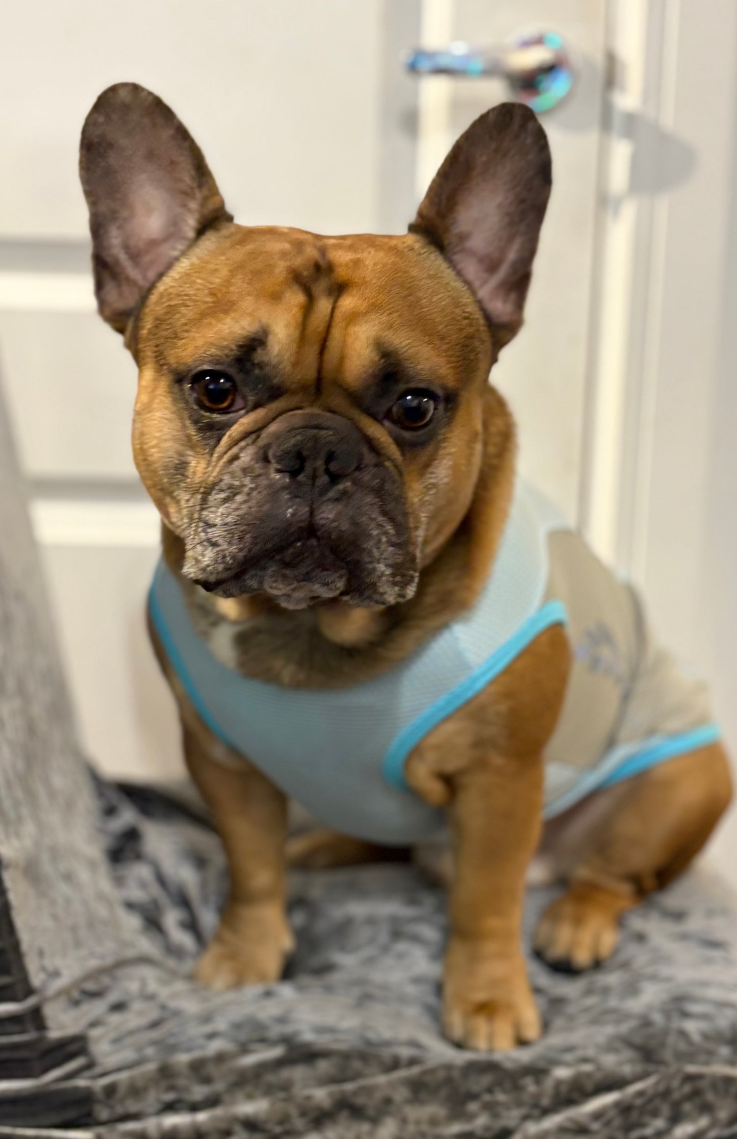 Cooling  vest