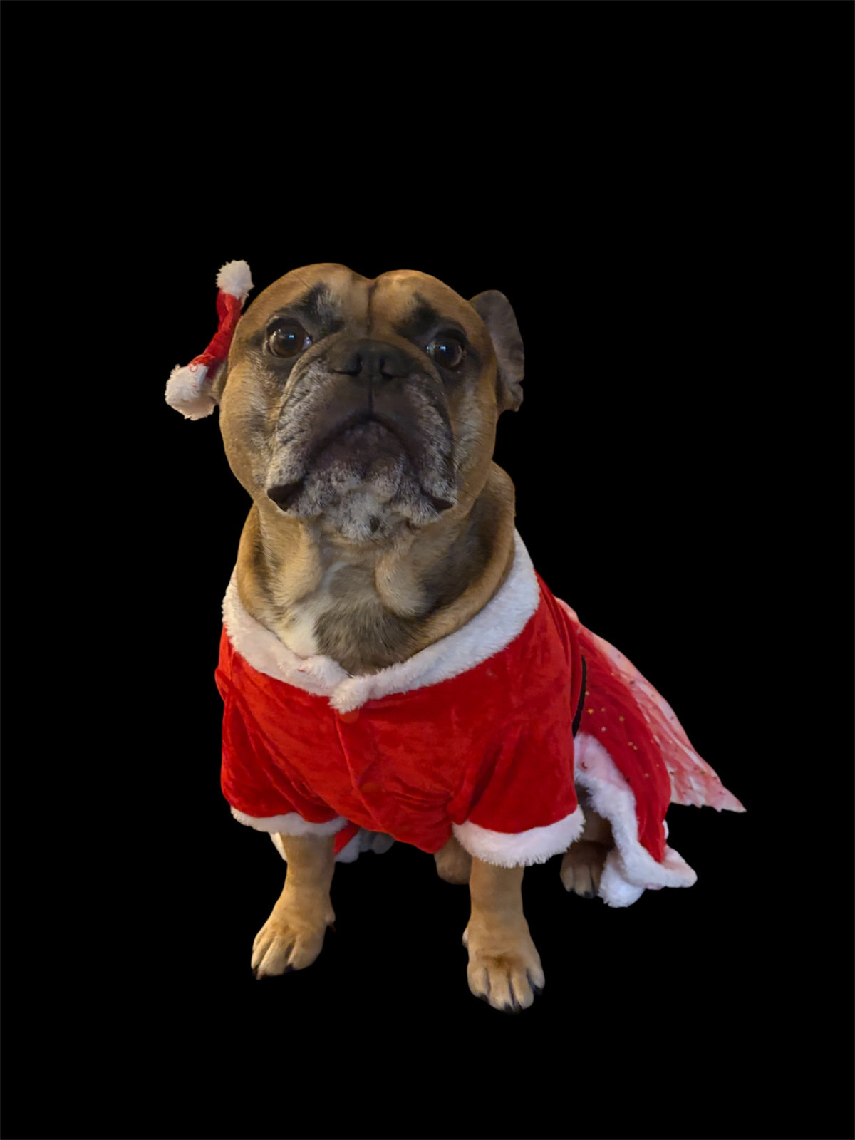 Christmas dress and bow