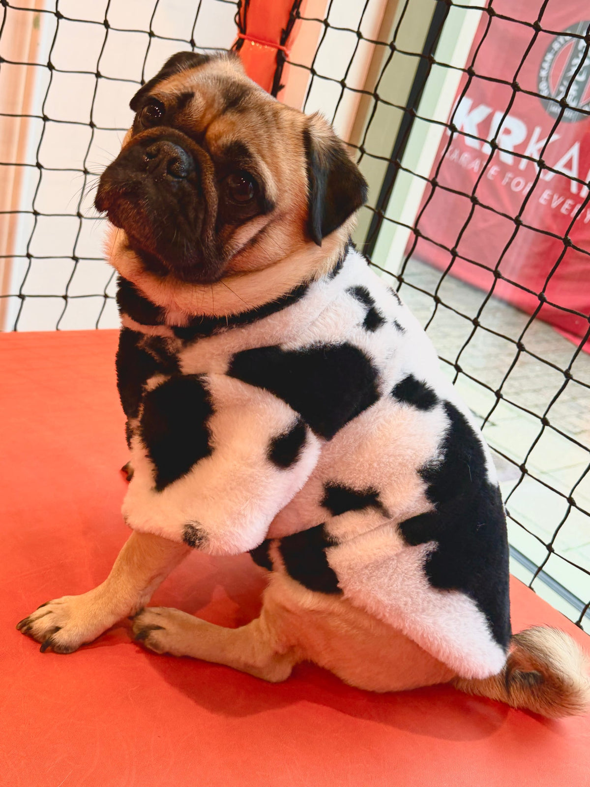 Black and white  Fleece jacket