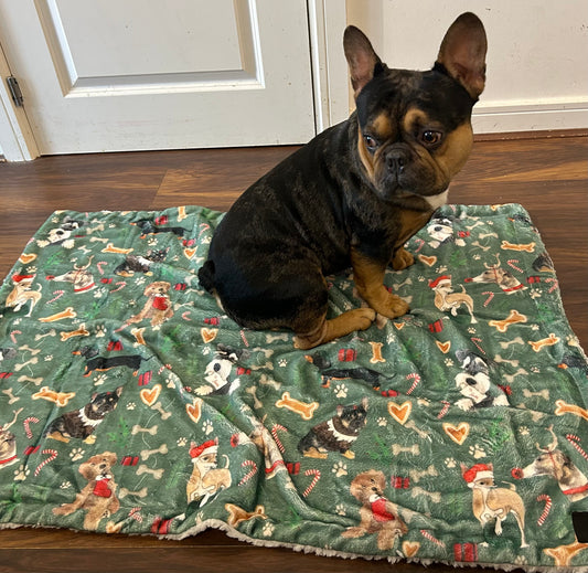 Christmas blanket
