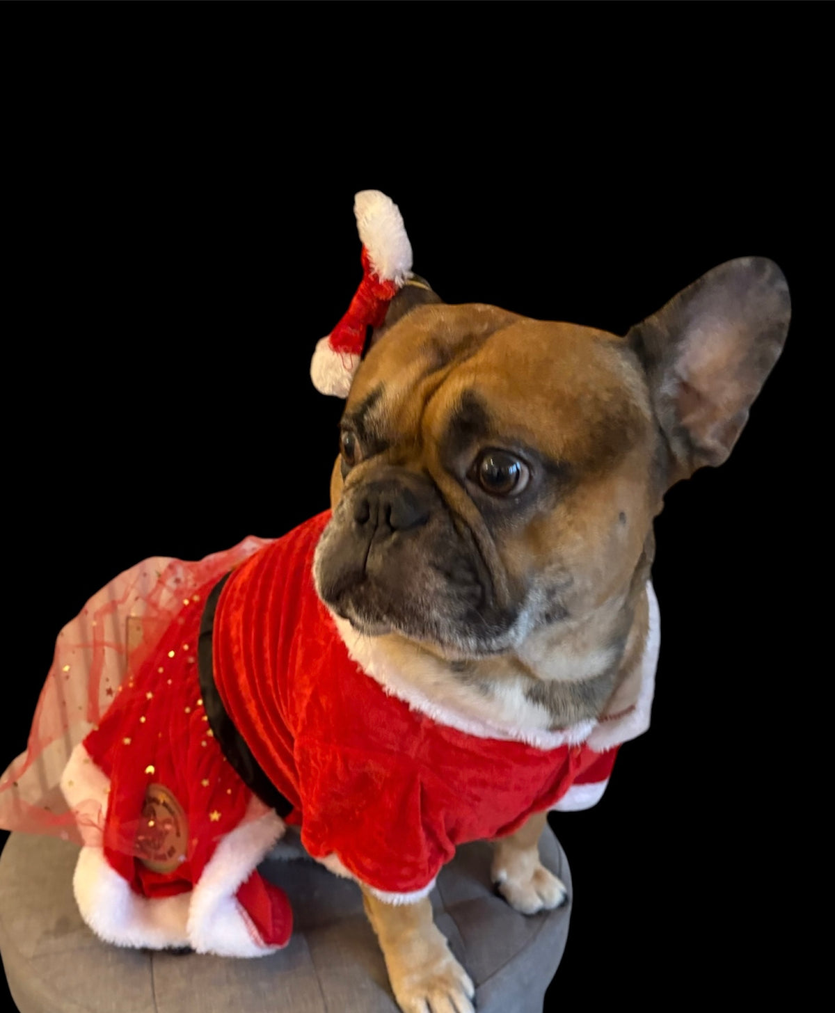 Christmas dress and bow