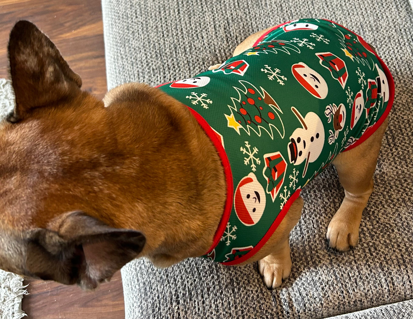 Christmas dog vest