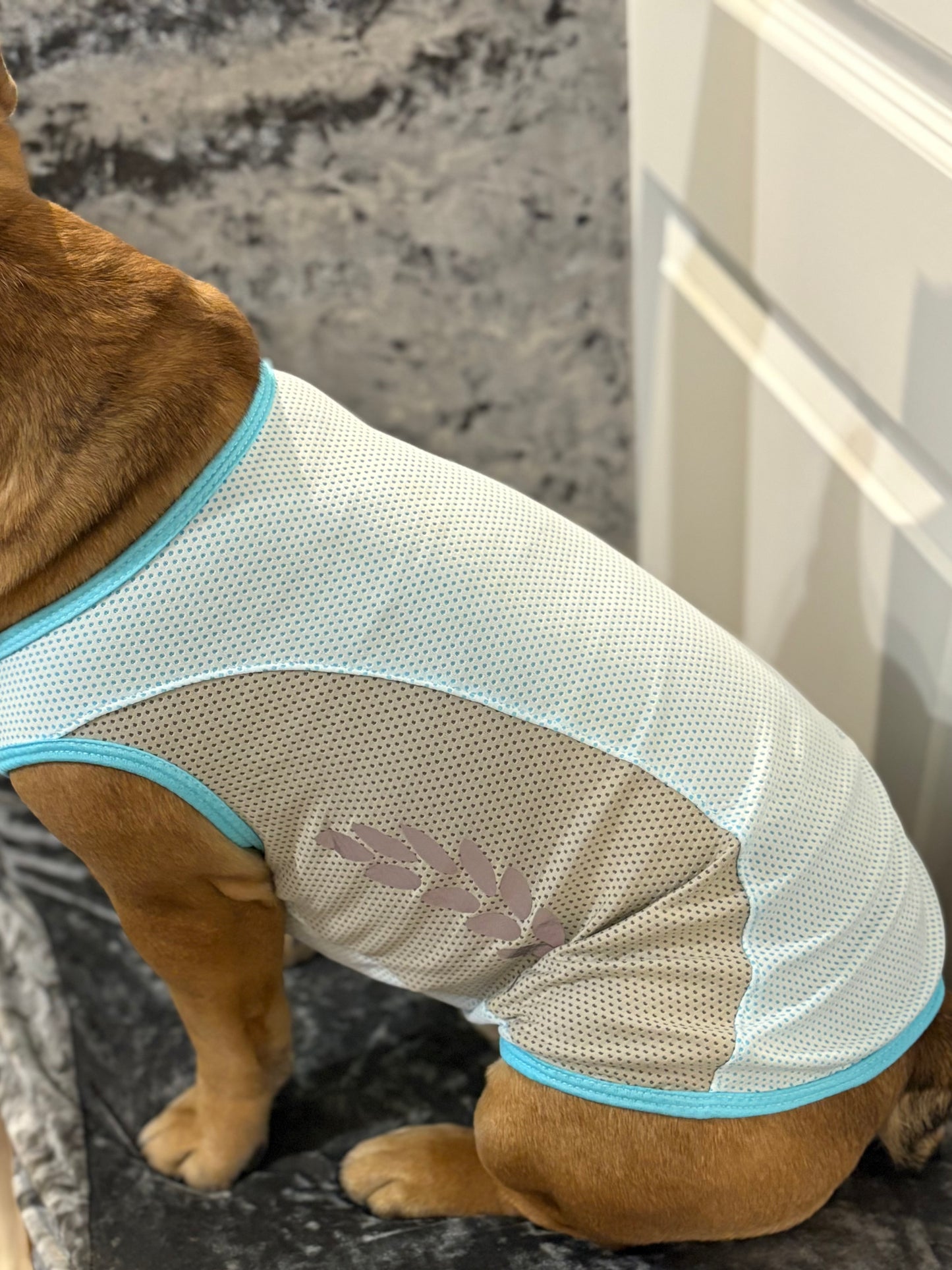Cooling  vest