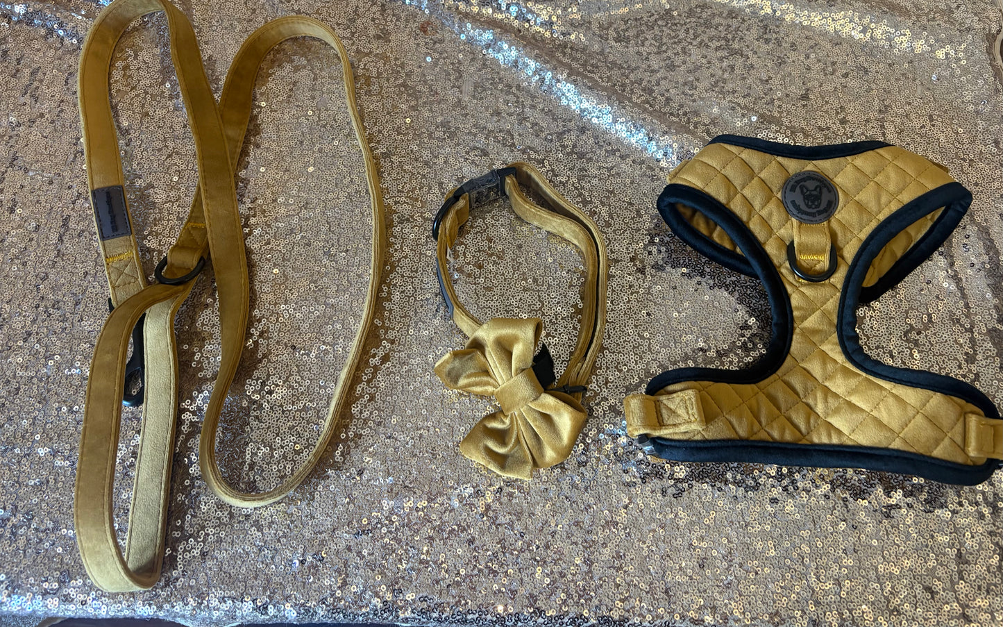 BB signature collection gold with black trim quilted velvet harness