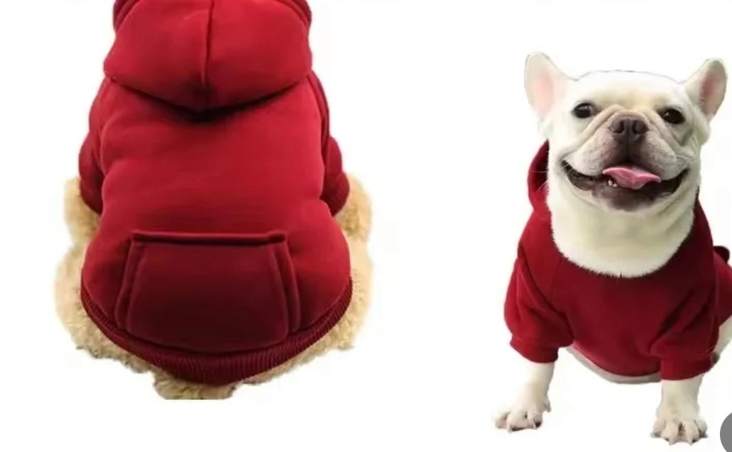 Dog hoodie