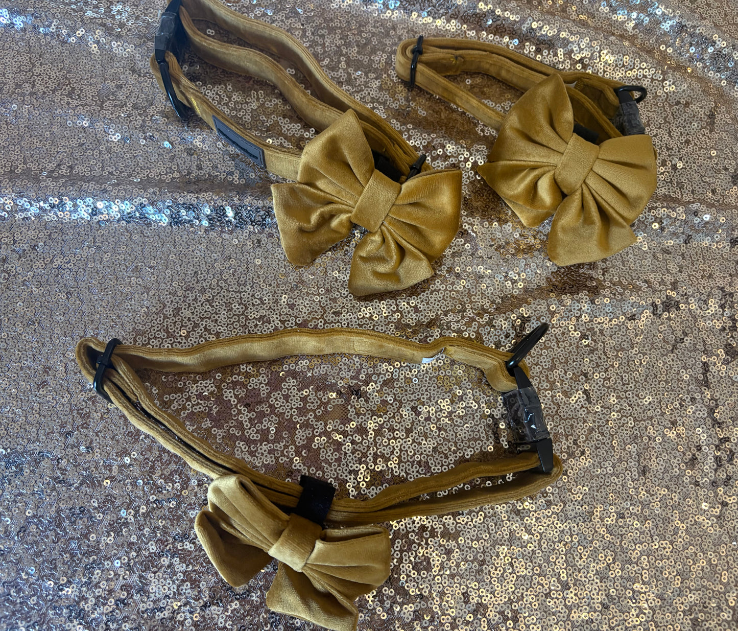 BB signature collection gold velvet collar with bow