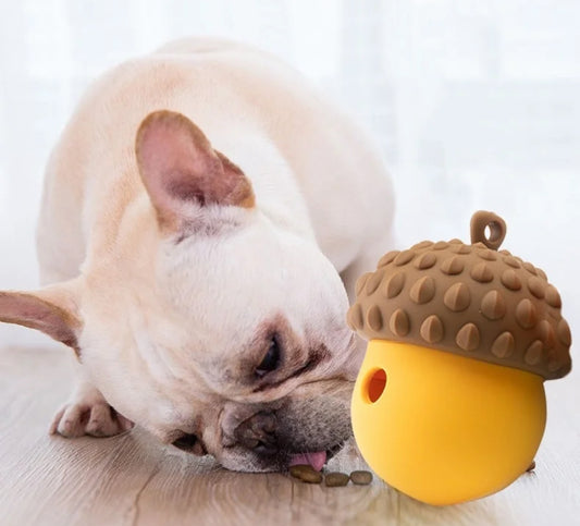 Enrichment toy