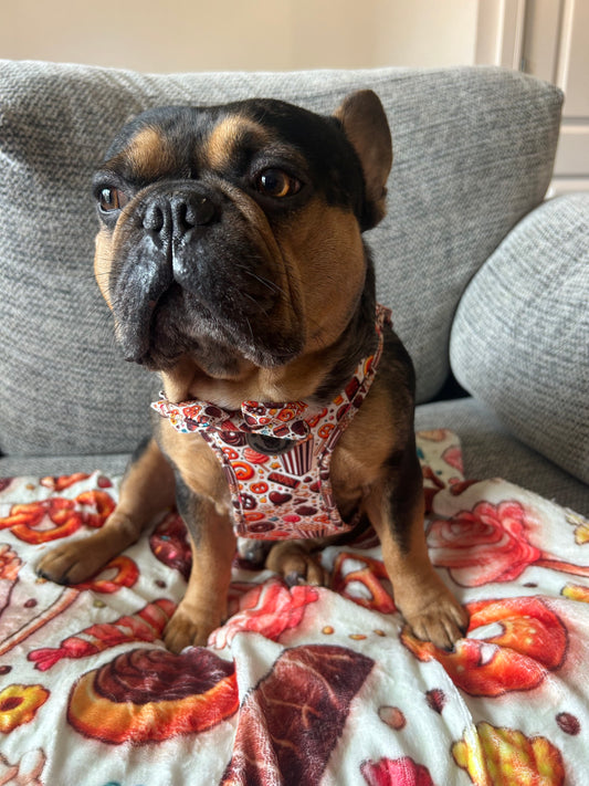 Sweet shop step in harness