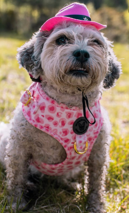 Pink animal print velvet harness