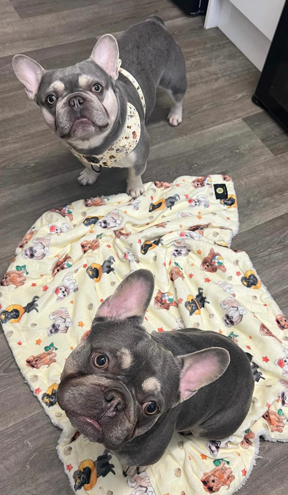 Life’s a beach blanket