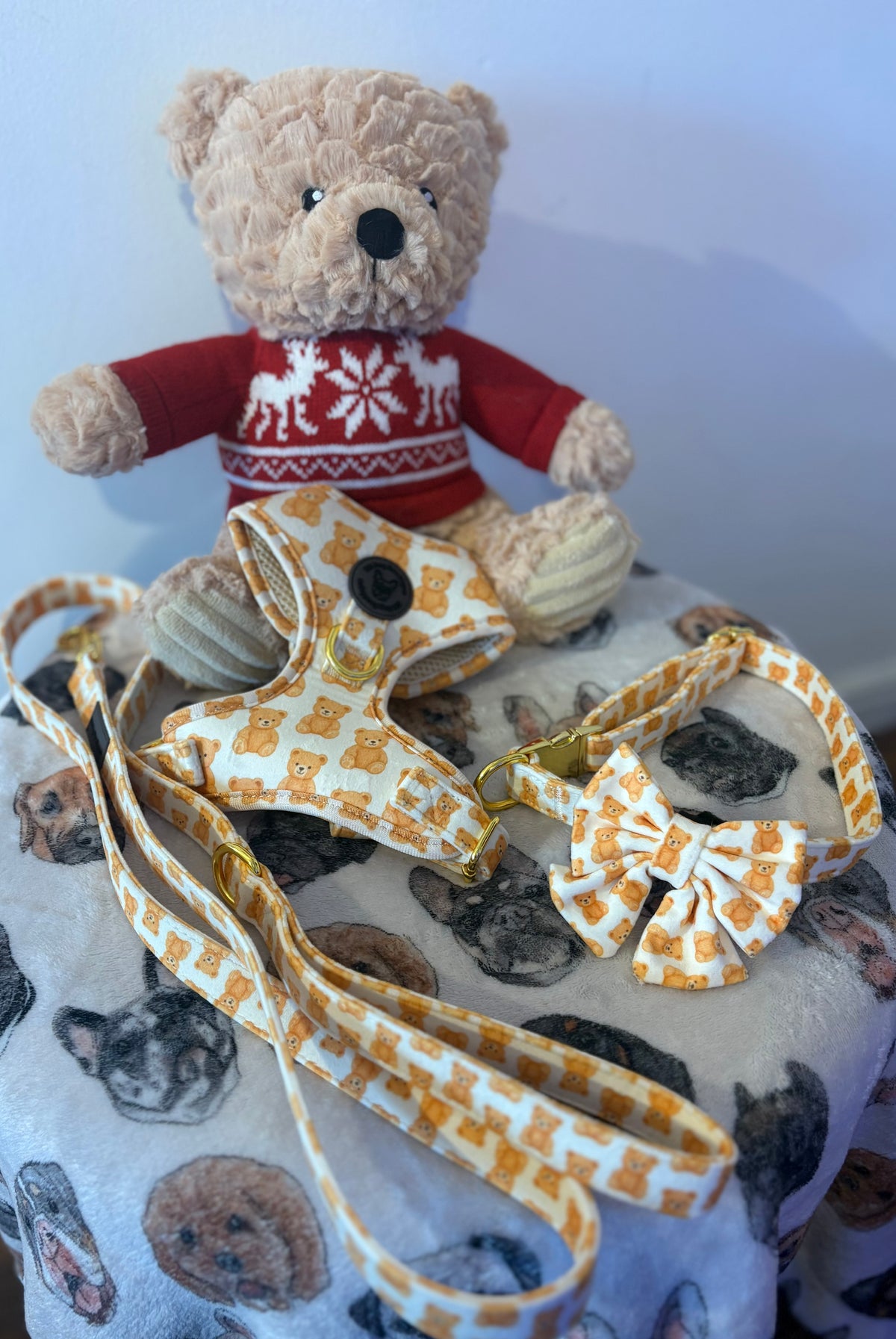 Teddy bear collar with bow