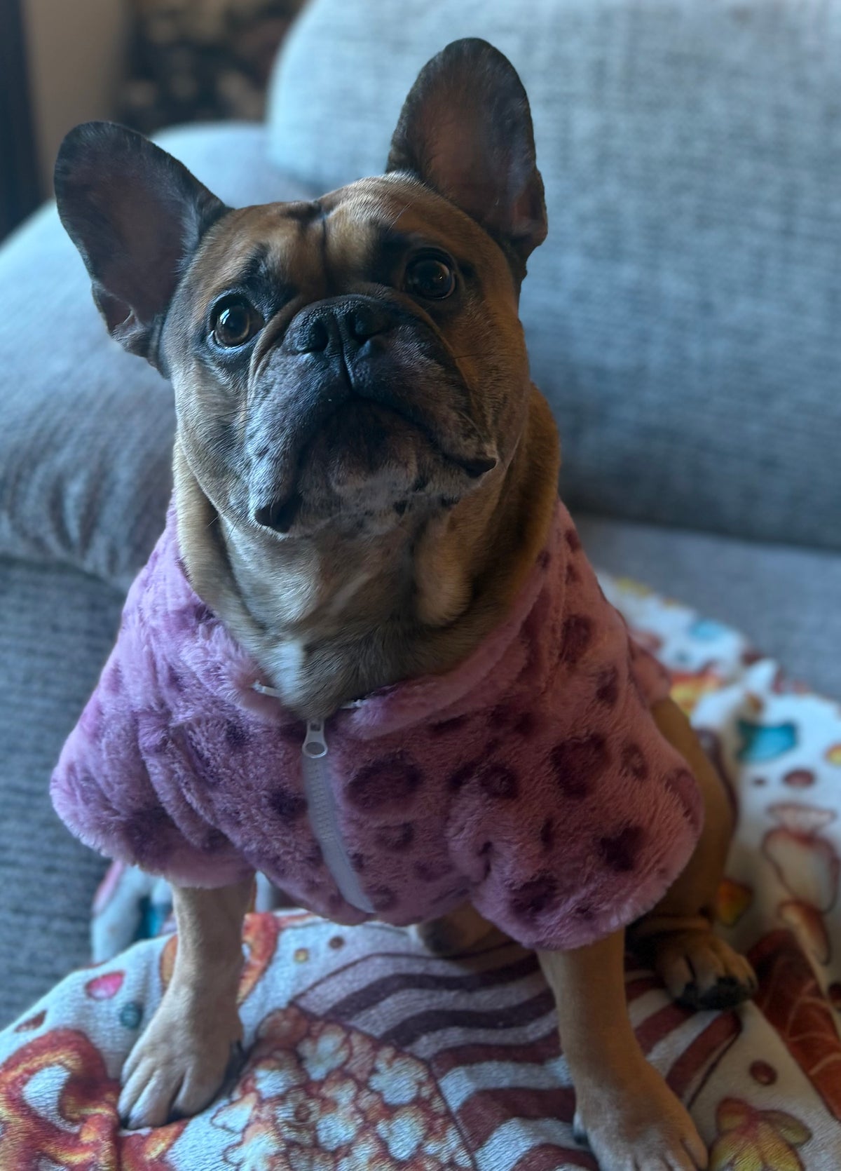Pink Fleece jacket