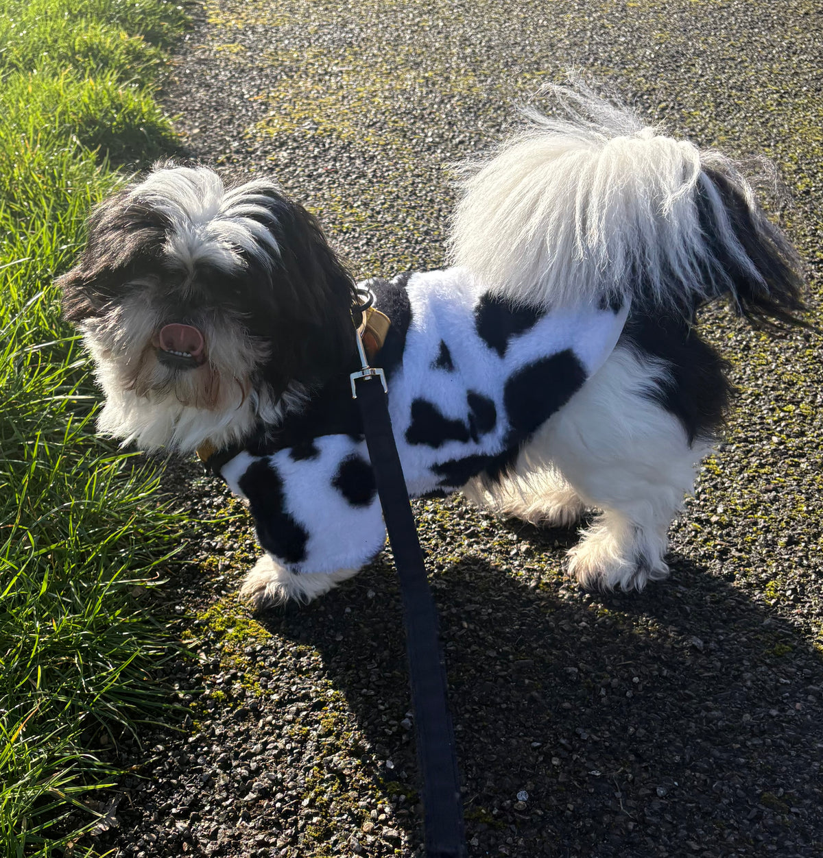 Black and white  Fleece jacket