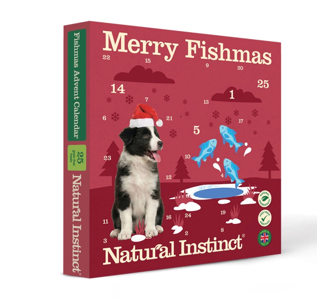Fish Advent calendar