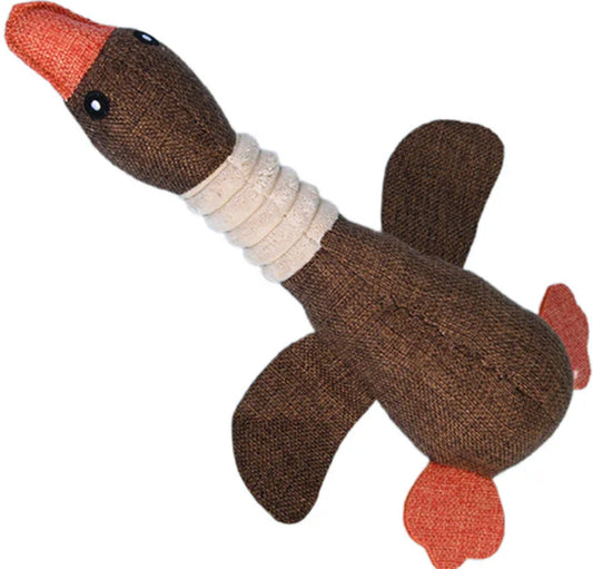 Duck toy