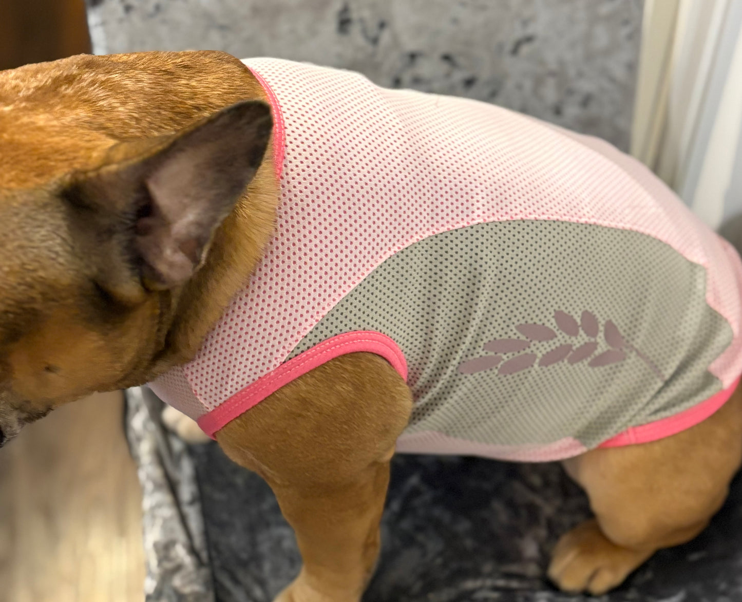 Cooling  vest