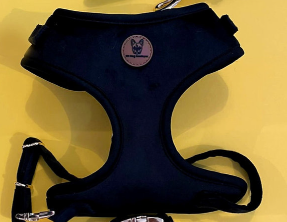 Black velvet harness