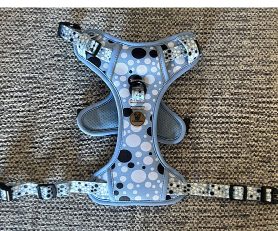 Spotty step in fully adjustable harness
