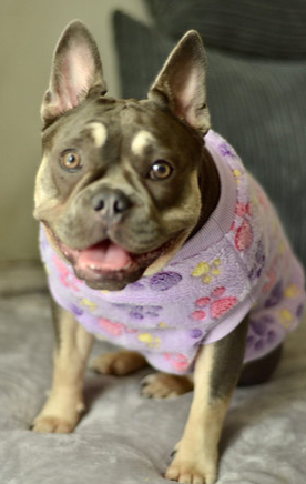 Lilac paw print jumper